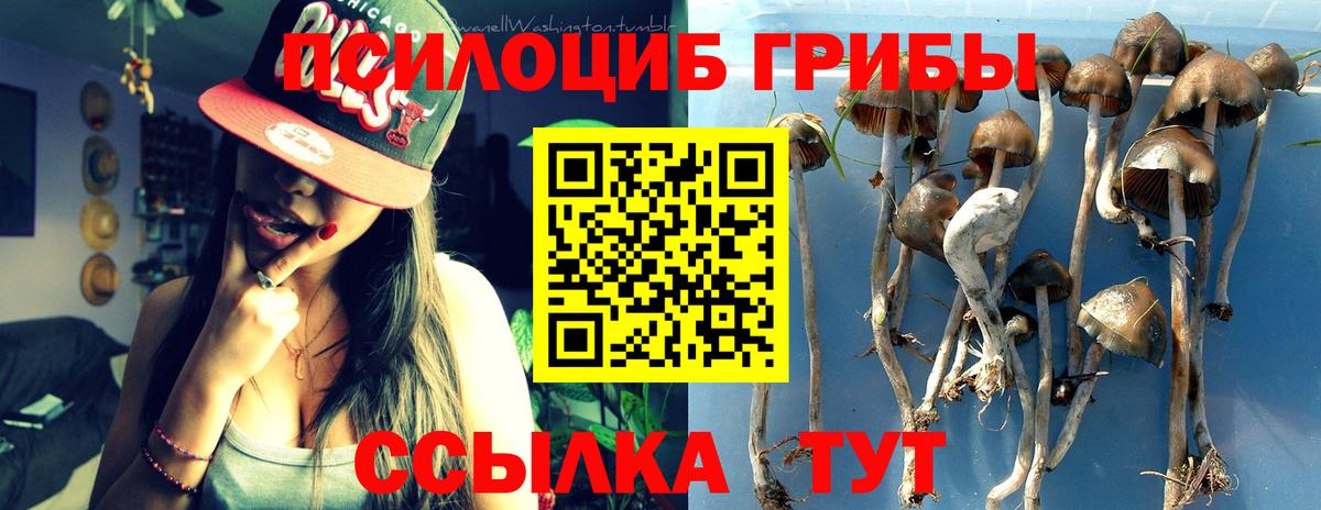 Галлюциногенные грибы Psilocybine cubensis  Киреевск  Галлюциногенные грибы Psilocybe 