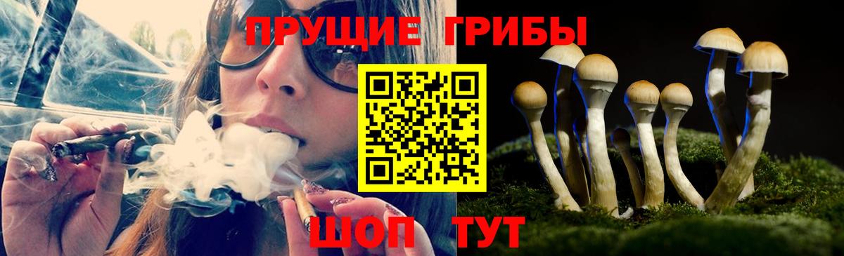 Галлюциногенные грибы Magic Shrooms  Вход с VPN  Киреевск 